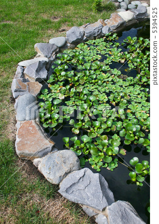 Natural stone pond 5394525