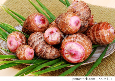 Red-eye potato 5395124