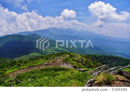 Yatsugatake Midsummer 5395500