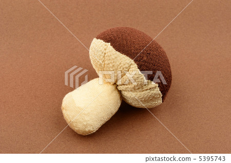 Shiitake Shiitake 5395743