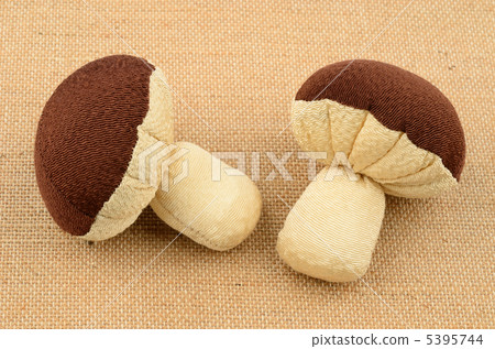 Shiitake 5395744