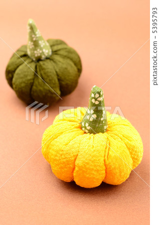 南瓜 5395793