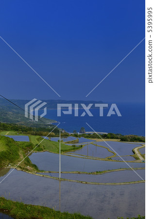 Rice terraces of the east late field erected and the Japan Sea Rice terraces of the east late field erected and the Japan Sea 5395995