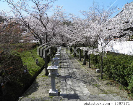 安倍文考入口 5397571