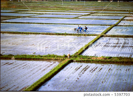 Route of school in rice field 5397703
