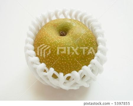 Kotetsu pears packed in packaging materials Kotetsu pears packed in packaging materials 5397855