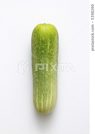 加賀陶卡黃瓜 5398260