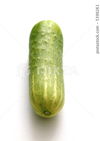 Kaga Tauka cucumber 5398261