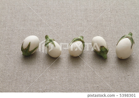 Egg eggplant 5398301