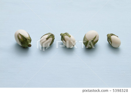 雞蛋茄子 5398328