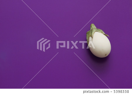 雞蛋茄子 5398338