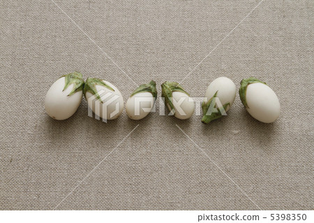 Egg eggplant 5398350