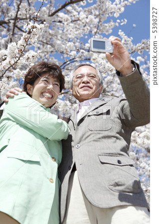 An old couple taking pictures under the cherry blossoms An old couple taking pictures under the cherry blossoms 5398727