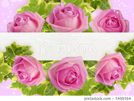 Roses Roses 5400564