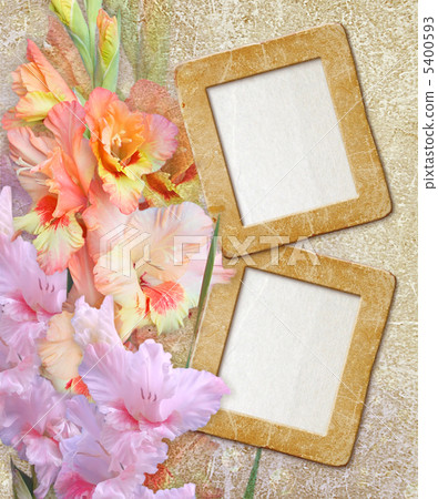 Grunge frame with gladiolus 5400593