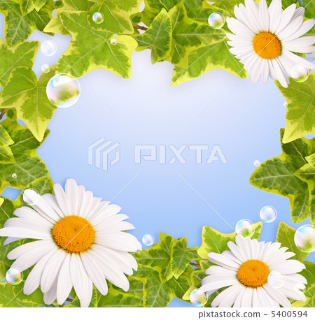 Floral frame and bubbles 5400594