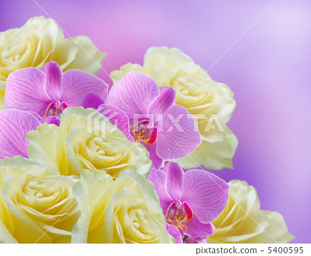 Orchids and roses Orchids and roses 5400595