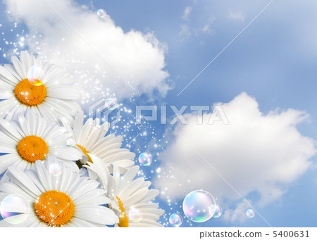 Daisies against the sky Daisies against the sky 5400631