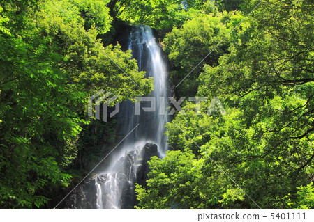 Summer's monkey waterfall Summer's monkey waterfall 5401111