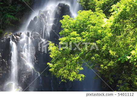 Summer's monkey waterfall Summer's monkey waterfall 5401112