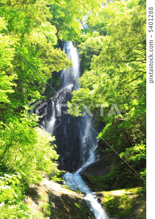 Summer's monkey waterfall Summer's monkey waterfall 5401288