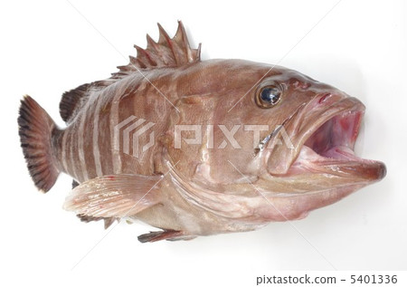 Mahata (overhead view) 5401336