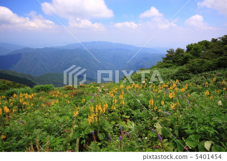 Mountain top flower garden in Ibukiyama in summer 5401454