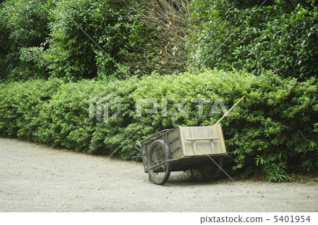 Park cleaning 5401954