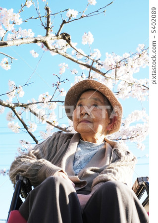 櫻花與奶奶 5402089