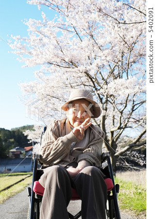 櫻花與奶奶 5402091