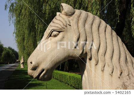 中國旅遊 5402165