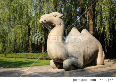 中國旅遊 5402166