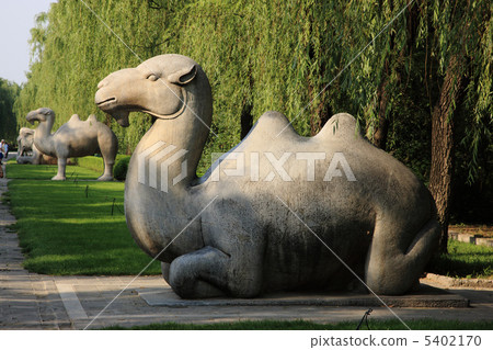 中國旅遊 5402170