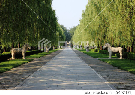 中國旅遊 5402171