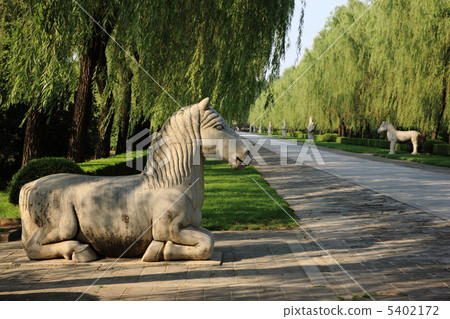 中國旅遊 5402172