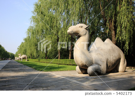 中國旅遊 5402173