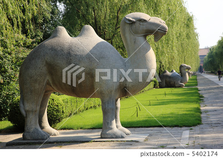 中國旅遊 5402174