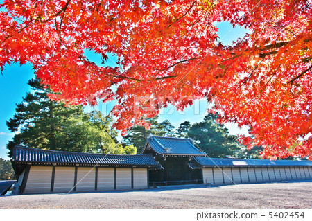 Autumn color Autumn color 5402454