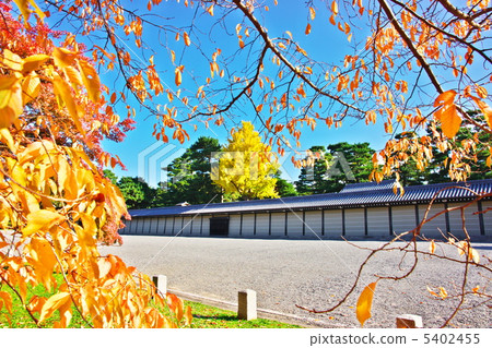 Autumn color Autumn color 5402455