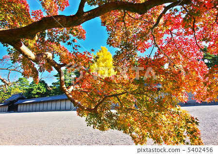 Autumn color 5402456