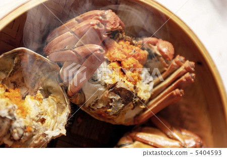 上海上海 5404593