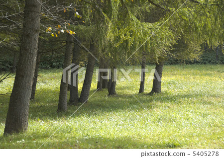 Prairie and grove 5405278