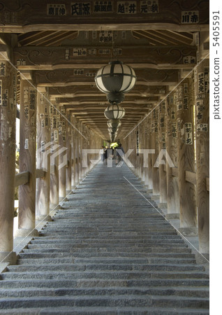 Hasegaji, the corridor 5405591