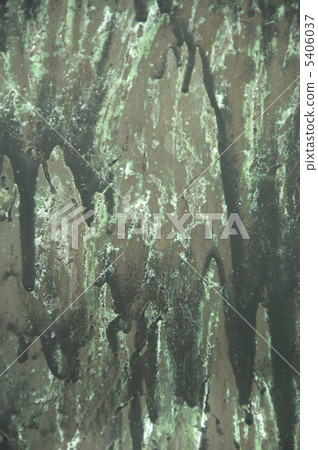 Texture Texture 5406037
