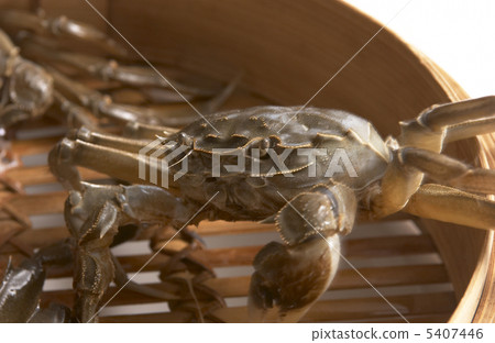 上海上海 上海上海 5407446