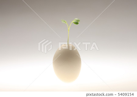 Eggs and Futaba Eggs and Futaba 5409154