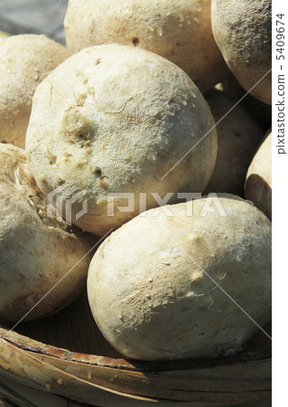 Pickles pickled 5409674