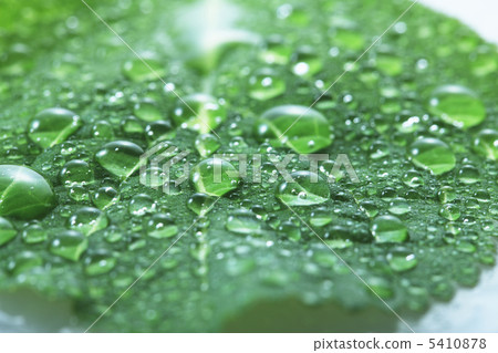 Fresh green and drop Fresh green and drop 5410878