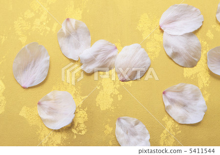 Sakura, Japanese style image 5411544