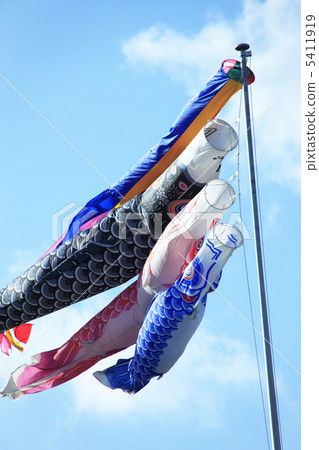 Carp streamer Carp streamer 5411919